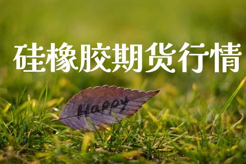 硅橡胶期货行情_https://www.lansai.wang_未分类_第1张