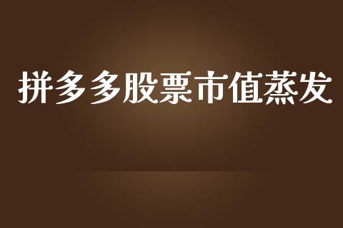 拼多多股票市值蒸发_https://www.lansai.wang_股票知识_第1张