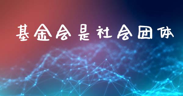 基金会是社会团体_https://www.lansai.wang_未分类_第1张