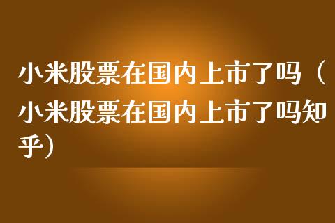 小米股票在国内上市了吗（小米股票在国内上市了吗知乎）_https://www.lansai.wang_股票知识_第1张