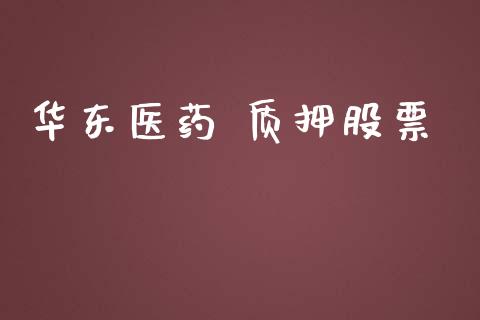 华东医药 质押股票_https://www.lansai.wang_基金理财_第1张