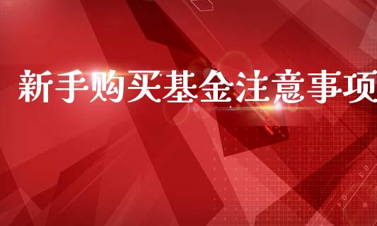 新手购买基金注意事项_https://www.lansai.wang_基金理财_第1张