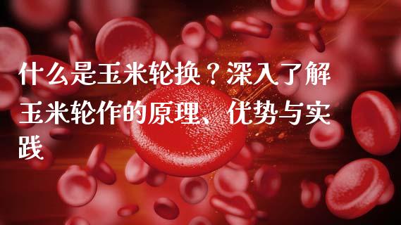 什么是玉米轮换？深入了解玉米轮作的原理、优势与实践_https://www.lansai.wang_股指期货_第1张