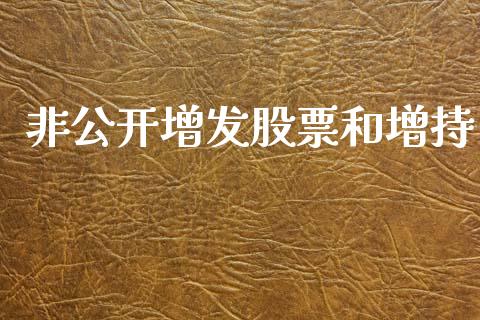 非公开增发股票和增持_https://www.lansai.wang_期货行情_第1张
