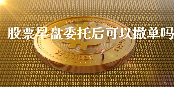 股票早盘委托后可以撤单吗_https://www.lansai.wang_期货行情_第1张