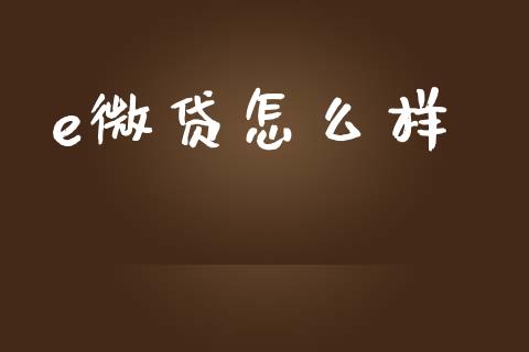 e微贷怎么样_https://www.lansai.wang_期货学院_第1张