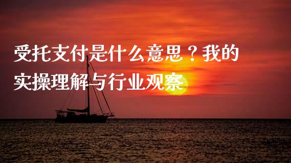受托支付是什么意思？我的实操理解与行业观察_https://www.lansai.wang_期货行情_第1张