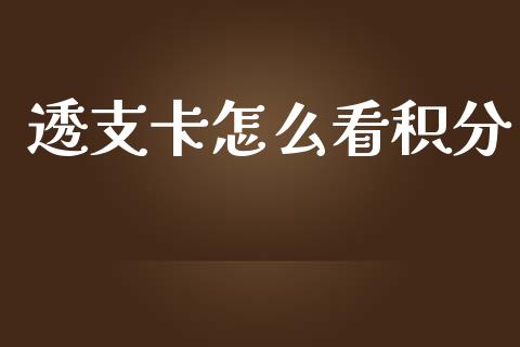 透支卡怎么看积分_https://www.lansai.wang_恒生指数_第1张