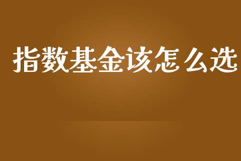 指数基金该怎么选_https://www.lansai.wang_基金理财_第1张