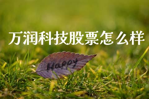 万润科技股票怎么样_https://www.lansai.wang_期货行情_第1张