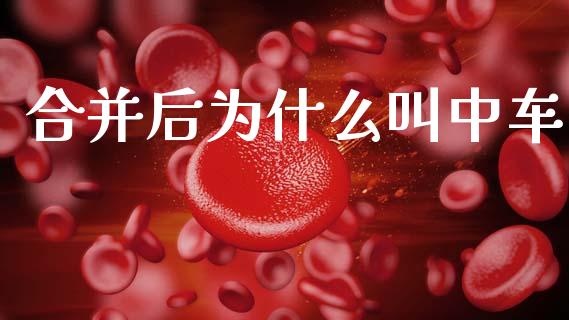 合并后为什么叫中车_https://www.lansai.wang_恒生指数_第1张
