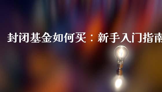 封闭基金如何买：新手入门指南_https://www.lansai.wang_恒生指数_第1张