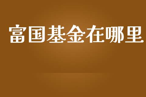 富国基金在哪里_https://www.lansai.wang_基金理财_第1张