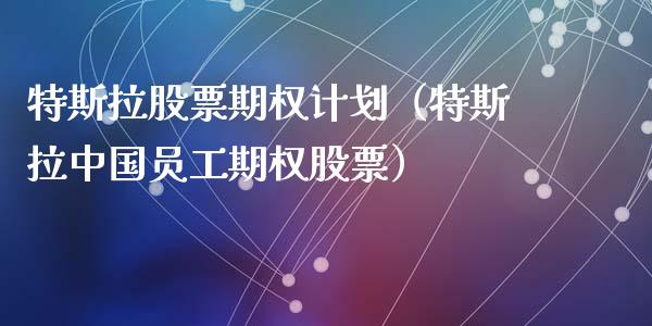 特斯拉股票期权计划（特斯拉中国员工期权股票）_https://www.lansai.wang_股票知识_第1张