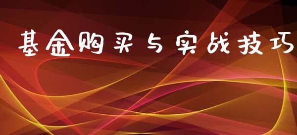 基金购买与实战技巧_https://www.lansai.wang_基金理财_第1张