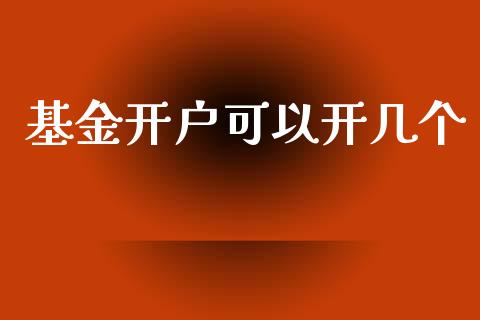 基金开户可以开几个_https://www.lansai.wang_理财百科_第1张
