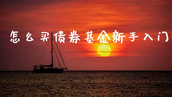怎么买债券基金新手入门_https://www.lansai.wang_基金理财_第1张