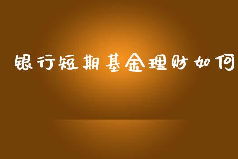 银行短期基金理财如何_https://www.lansai.wang_基金理财_第1张