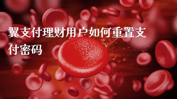 翼支付理财用户如何重置支付密码_https://www.lansai.wang_股票问答_第1张
