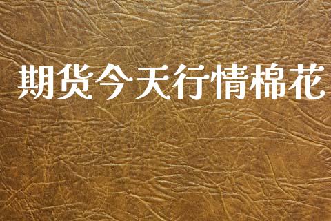 期货今天行情棉花_https://www.lansai.wang_恒生指数_第1张