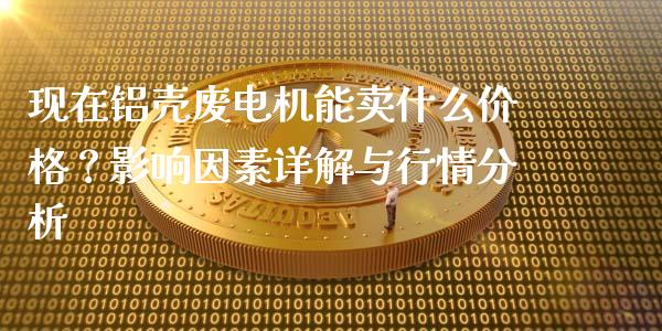 现在铝壳废电机能卖什么价格？影响因素详解与行情分析_https://www.lansai.wang_股票知识_第1张