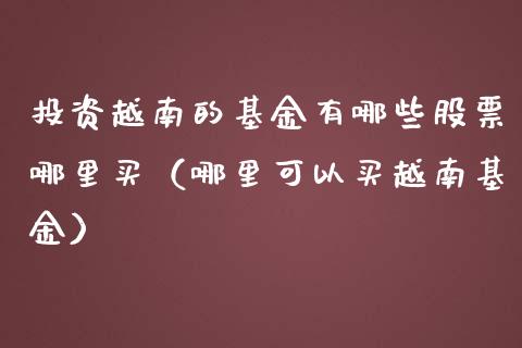 投资越南的基金有哪些股票哪里买（哪里可以买越南基金）_https://www.lansai.wang_基金理财_第1张