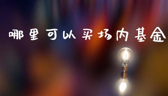 哪里可以买场内基金_https://www.lansai.wang_基金理财_第1张