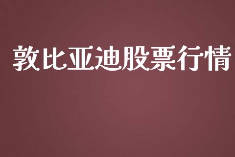 敦比亚迪股票行情_https://www.lansai.wang_股票知识_第1张