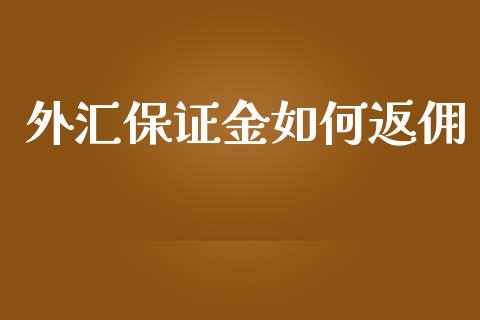 外汇保证金如何返佣_https://www.lansai.wang_理财百科_第1张