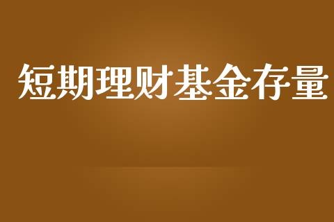 短期理财基金存量_https://www.lansai.wang_基金理财_第1张