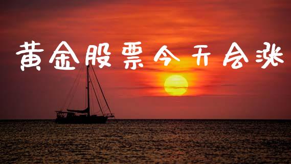 黄金股票今天会涨_https://www.lansai.wang_期货资讯_第1张