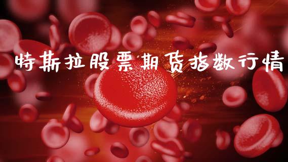 特斯拉股票期货指数行情_https://www.lansai.wang_股指期货_第1张
