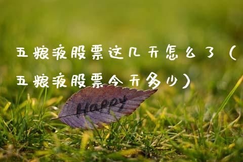 五粮液股票这几天怎么了（五粮液股票今天多少）_https://www.lansai.wang_股票知识_第1张