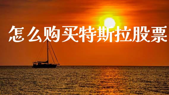 怎么购买特斯拉股票_https://www.lansai.wang_期货直播_第1张
