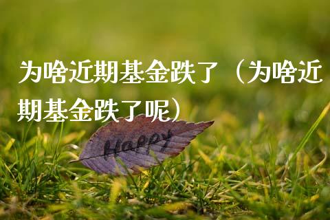 为啥近期基金跌了（为啥近期基金跌了呢）_https://www.lansai.wang_基金理财_第1张