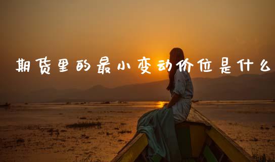 期货里的最小变动价位是什么_https://www.lansai.wang_理财百科_第1张