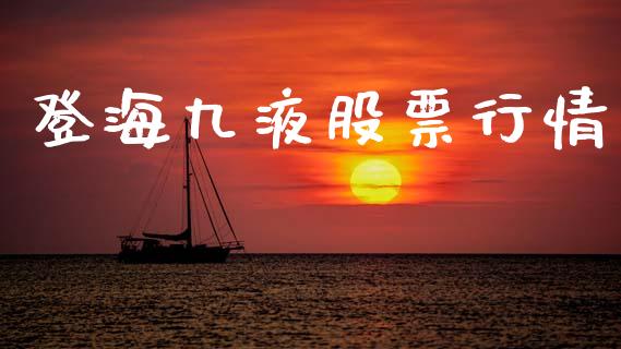 登海九液股票行情_https://www.lansai.wang_股票知识_第1张