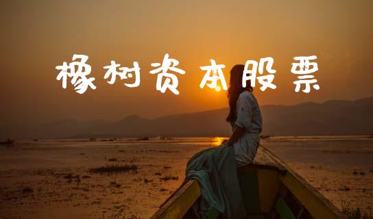 橡树资本股票_https://www.lansai.wang_基金理财_第1张
