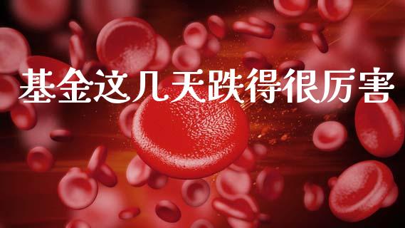 基金这几天跌得很厉害_https://www.lansai.wang_基金理财_第1张
