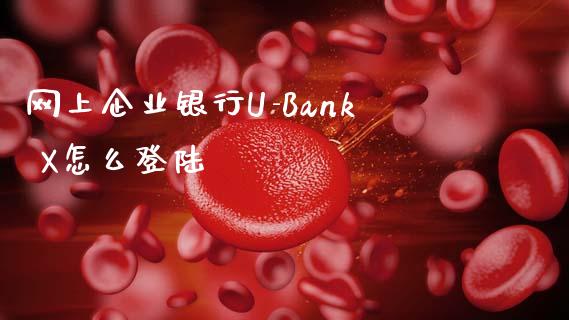 网上企业银行U-Bank X怎么登陆_https://www.lansai.wang_期货学院_第1张