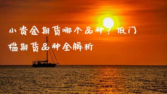 小资金期货哪个品种？低门槛期货品种全解析_https://www.lansai.wang_恒生指数_第1张