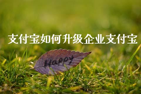 支付宝如何升级企业支付宝_https://www.lansai.wang_股票知识_第1张