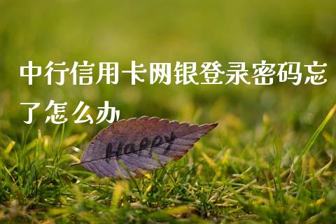 中行信用卡网银登录密码忘了怎么办_https://www.lansai.wang_期货行情_第1张