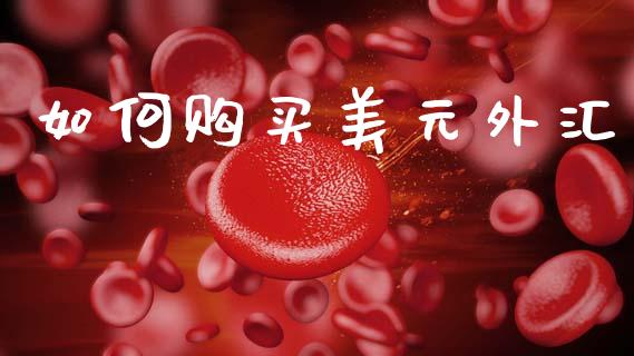 如何购买美元外汇_https://www.lansai.wang_恒生指数_第1张