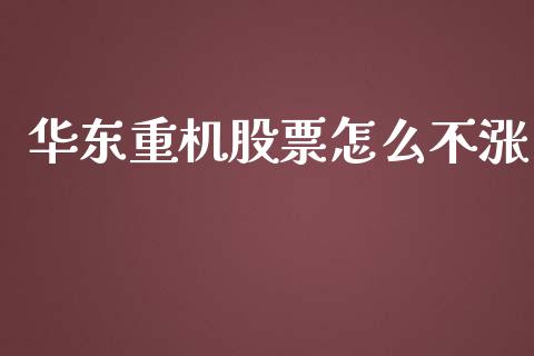 华东重机股票怎么不涨_https://www.lansai.wang_恒生指数_第1张