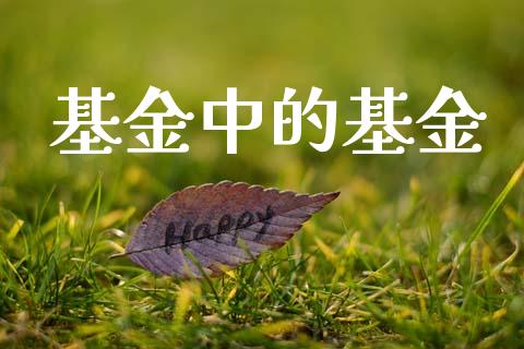 基金中的基金_https://www.lansai.wang_未分类_第1张