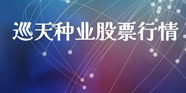 巡天种业股票行情_https://www.lansai.wang_股票知识_第1张