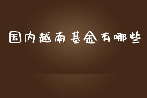 国内越南基金有哪些_https://www.lansai.wang_基金理财_第1张