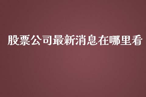 股票公司最新消息在哪里看_https://www.lansai.wang_股票问答_第1张