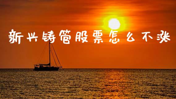 新兴铸管股票怎么不涨_https://www.lansai.wang_基金理财_第1张